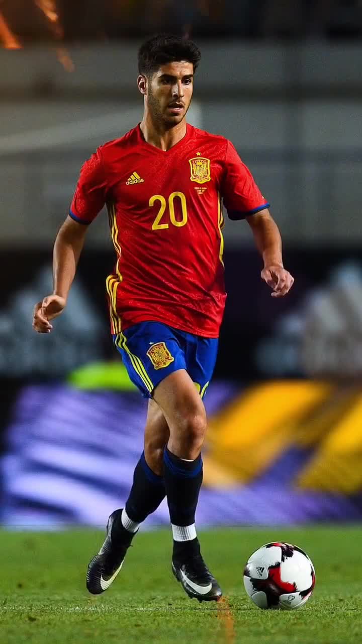 斯卡洛尼的 斯卡洛尼的